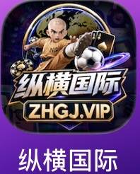 纵横国际